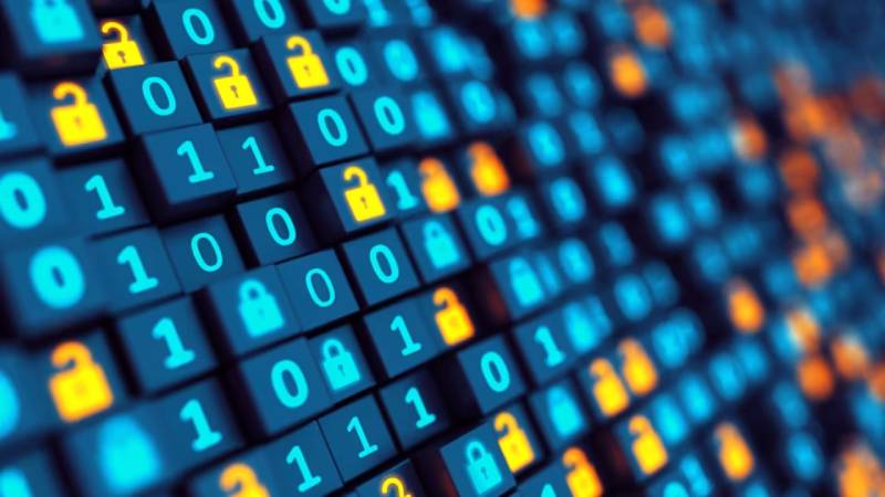 秀英区软件开发:以硬核实力,筑工业数字基石